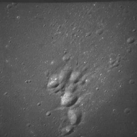 рис. 10979