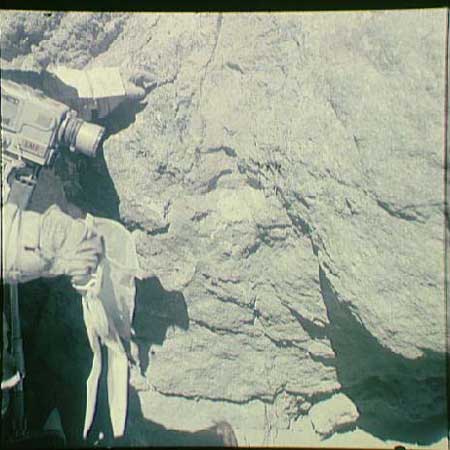 рис. 18647